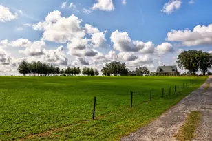 24948 Walkabout Ranch Rd, Sorrento, FL 32776 - Photo 50