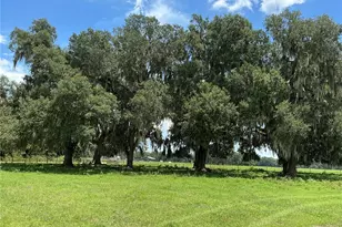 Cr 755, Webster, FL 33597 - Photo 1
