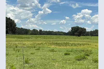 Cr 755, Webster, FL 33597 - Photo 10