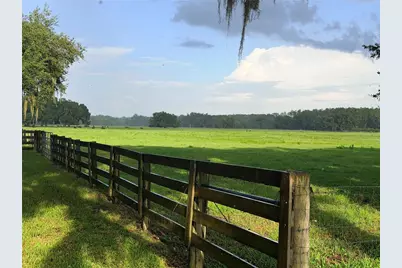 Cr 755, Webster, FL 33597 - Photo 46