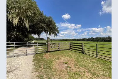 Cr 755, Webster, FL 33597 - Photo 42