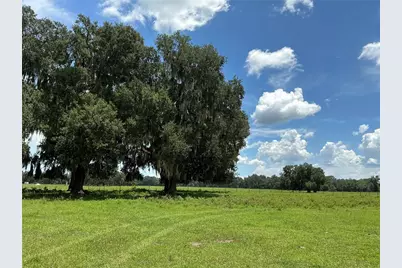 Cr 755, Webster, FL 33597 - Photo 2
