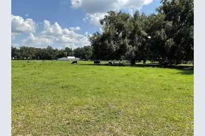 Cr 755, Webster, FL 33597 - Photo 34