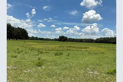 Cr 755, Webster, FL 33597 - Photo 14