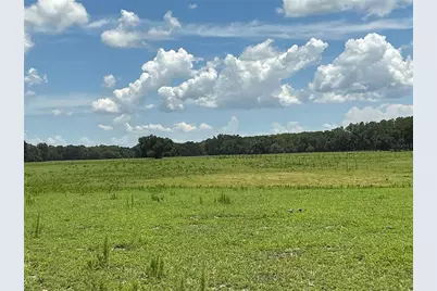 Cr 755, Webster, FL 33597 - Photo 12
