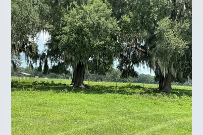 Cr 755, Webster, FL 33597 - Photo 4