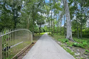 19040 NW 88th Avenue Rd, Reddick, FL 32686 - Photo 58