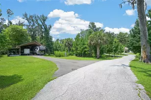 19040 NW 88th Avenue Rd, Reddick, FL 32686 - Photo 4