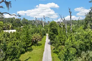 19040 NW 88th Avenue Rd, Reddick, FL 32686 - Photo 68