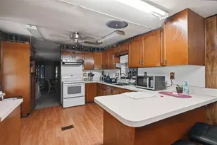 13637 Cr 737, Webster, FL 33597 - Photo 6