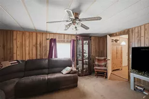 13637 Cr 737, Webster, FL 33597 - Photo 4