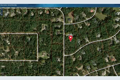 3913 N Eisenhower Avenue, Hernando, FL 34442 - Photo 6