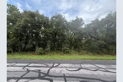 3913 N Eisenhower Avenue, Hernando, FL 34442 - Photo 2
