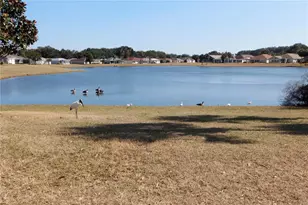 17996 SE 115th Cir, Summerfield, FL 34491 - Photo 44