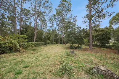 41220 Alder Way, Eustis, FL 32736 - Photo 44
