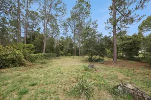 41220 Alder Way, Eustis, FL 32736 - Photo 44