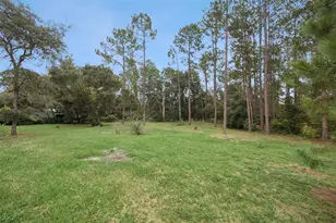 41220 Alder Way, Eustis, FL 32736 - Photo 40