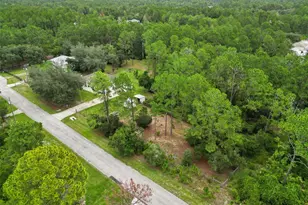 41220 Alder Way, Eustis, FL 32736 - Photo 46