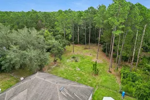 41220 Alder Way, Eustis, FL 32736 - Photo 50