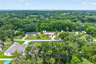 31151 Deal Dr, Mount Plymouth, FL 32776 - Photo 42