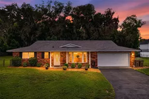 31151 Deal Dr, Mount Plymouth, FL 32776 - Photo 1