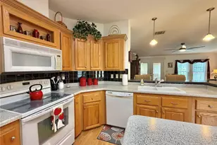151 Sago Palm Dr, Leesburg, FL 34748 - Photo 24