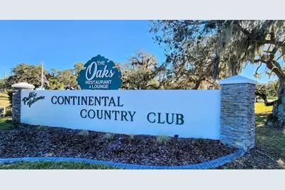 48 S Bobwhite Road, Wildwood, FL 34785 - Photo 30