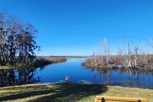 48 S Bobwhite Rd, Wildwood, FL 34785 - Photo 38