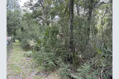 10991 W London Lane, Homosassa, FL 34448 - Photo 6