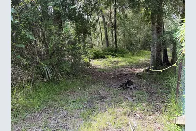 10991 W London Lane, Homosassa, FL 34448 - Photo 4