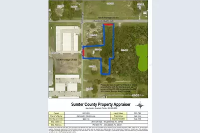 2919 County Road 523, Wildwood, FL 34785 - Photo 4