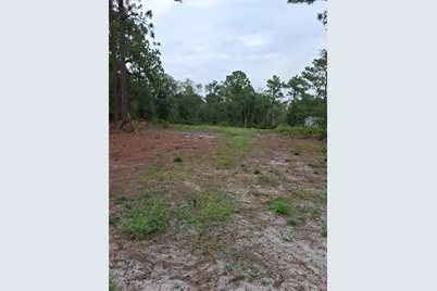 Park Forest Boulevard, Mount Dora, FL 32757 - Photo 2