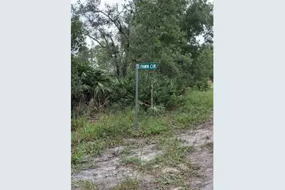 Park Forest Boulevard, Mount Dora, FL 32757 - Photo 6