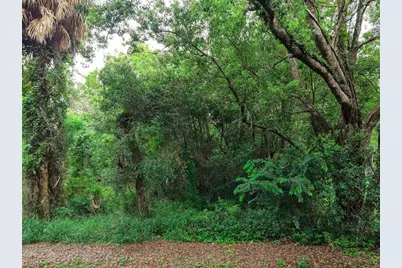 E Fruitland Street, Fruitland Park, FL 34731 - Photo 8