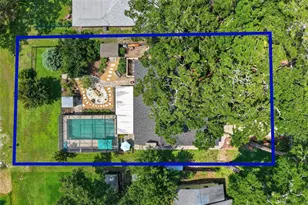 2115 Suzanne Dr, Mount Dora, FL 32757 - Photo 44