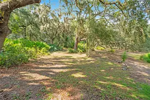 41832 Carrie Ln, Altoona, FL 32702 - Photo 50