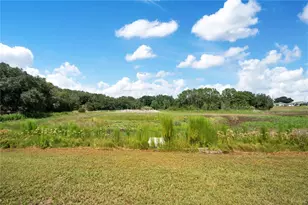 41832 Carrie Ln, Altoona, FL 32702 - Photo 46