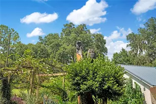 41832 Carrie Ln, Altoona, FL 32702 - Photo 38