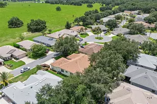 20651 Prince Ranier Pl, Leesburg, FL 34748 - Photo 36