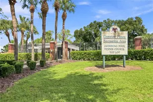 13059 Sandy Pine Ln, Clermont, FL 34711 - Photo 44