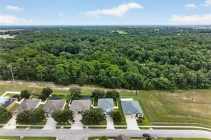 5202 Royce Dr, Mount Dora, FL 32757 - Photo 58