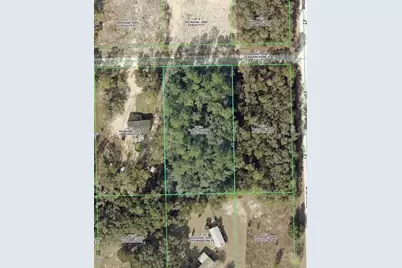 33104 Faculty Street, Ridge Manor Estates, FL 33597 - Photo 1