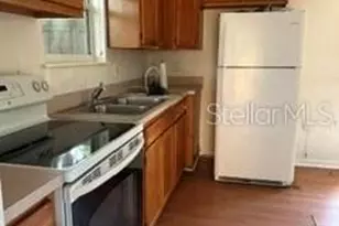 248a S Clayton St, Mount Dora, FL 32757 - Photo 2