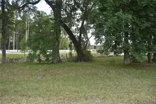 Lot 57 Blk C Lexington Circle, Wildwood, FL 34785 - Photo 1