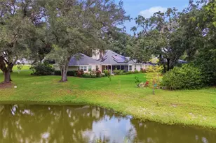 33746 Spring Dr, Leesburg, FL 34788 - Photo 8