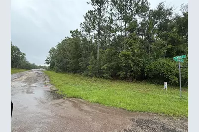 482 W Cabot Lane, Citrus Springs, FL 34434 - Photo 2