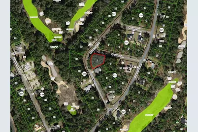 482 W Cabot Lane, Citrus Springs, FL 34434 - Photo 6