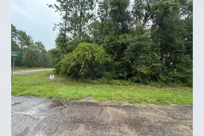 482 W Cabot Lane, Citrus Springs, FL 34434 - Photo 1