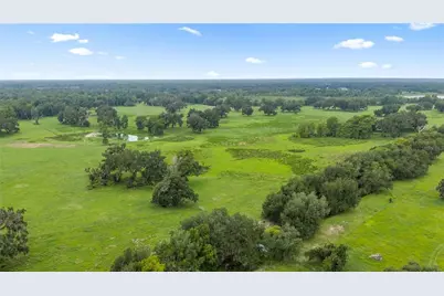 County Road 774, Webster, FL 33597 - Photo 8