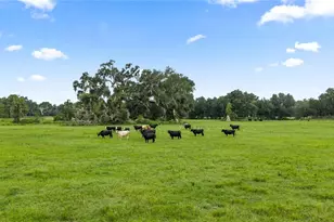 County Road 774, Webster, FL 33597 - Photo 1